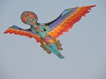 Kites at Panambur beach
